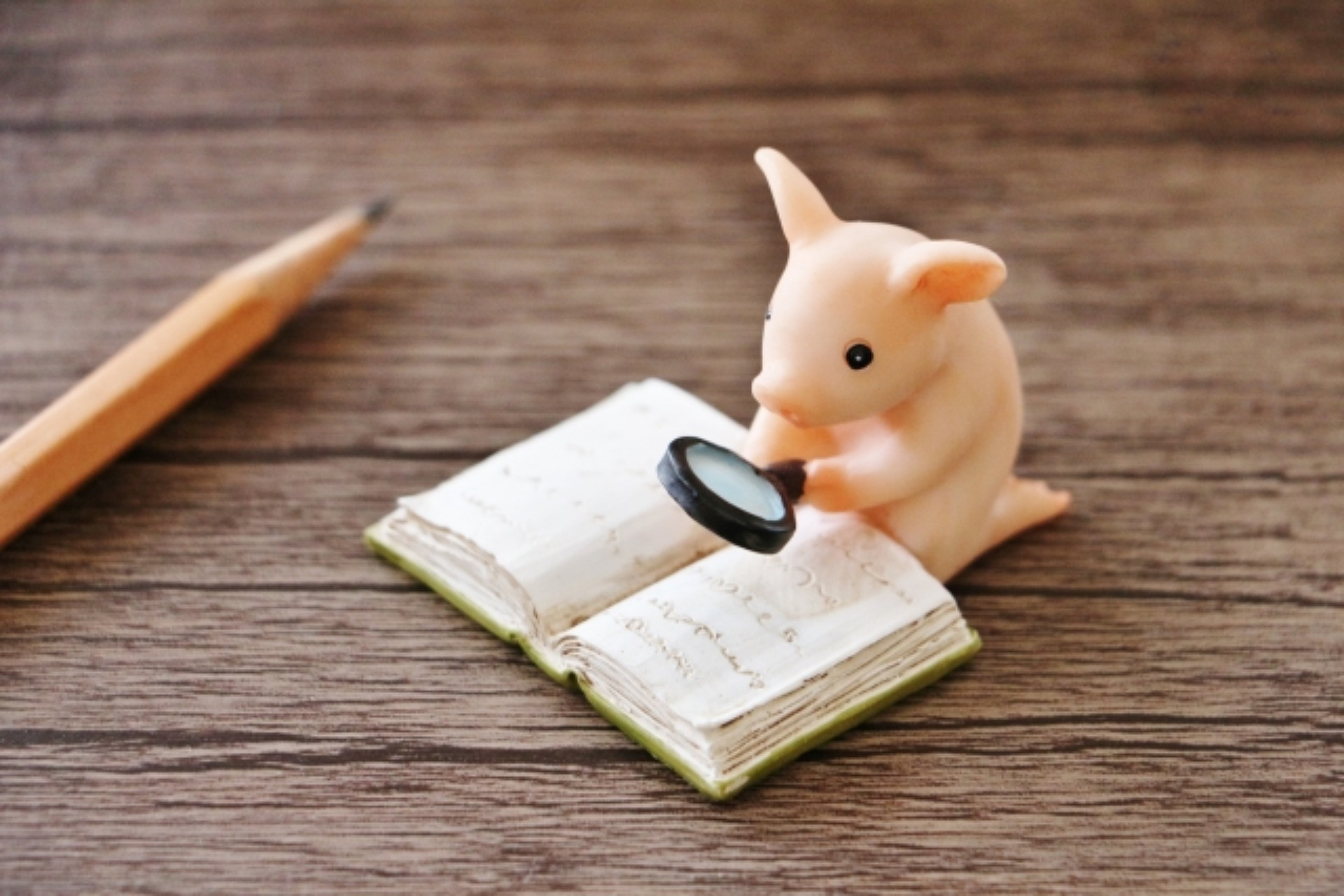 結の会でのお見合いから交際への手順【結の会】